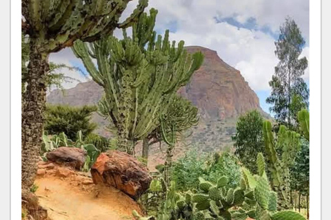 Semera: 8-tägige Tour durch die Danakil-Senke und zu den Stämmen des Omo-Tals