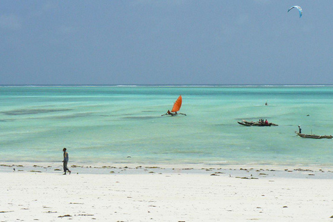 Zanzibar: Jozani Forest, Kuza Cave & Paje Beach Private Tour – No Hotel Transfer Included