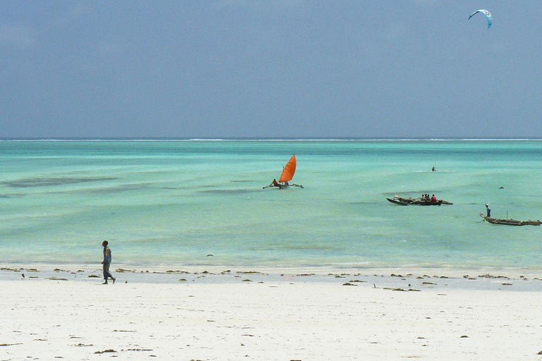 Zanzibar: Jozani Forest, Kuza Cave & Paje Beach Private Tour – No Hotel Transfer Included