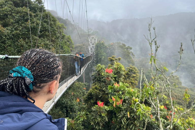 1 day: From Kigali, The canopy walk adventure at Nyungwe