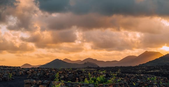 Lanzarote: Sunset Vineyard Sightseeing Tour with Wine Tasting and Chocolate