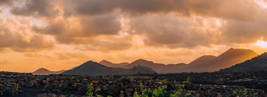 Lanzarote : visite des vignobles au coucher du soleil avec dégustation de vins et chocolats