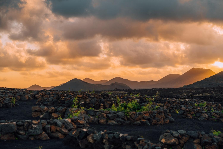 Lanzarote : visite des vignobles au coucher du soleil avec dégustation de vins et de chocolats