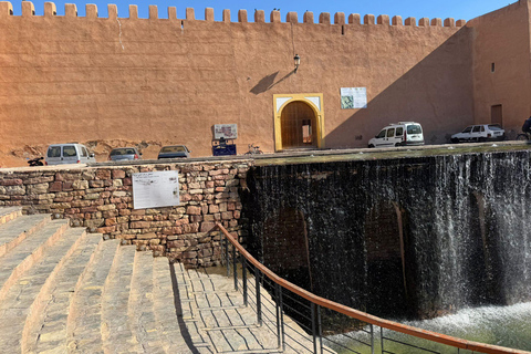 Agadir: Souss Massa 4WD Desert Safari with Lunch