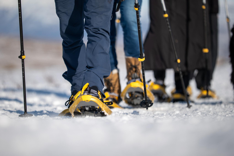 Akureyri: Snowshoe Hiking Tour with Guide