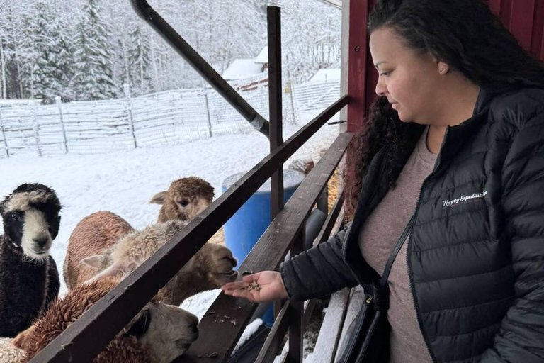 Helsinki: Alpaca Farm Tour with Guided Walk