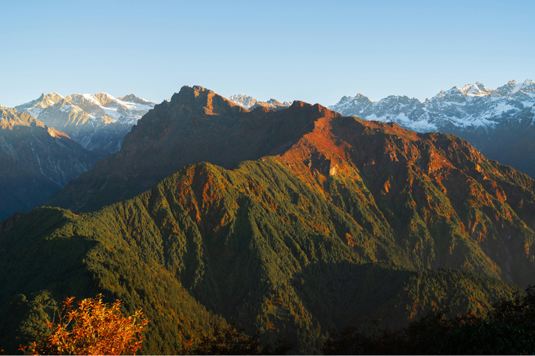 Ghorepani - Poon Hill Golden Horizon Trek from Kathmandu Customize Package