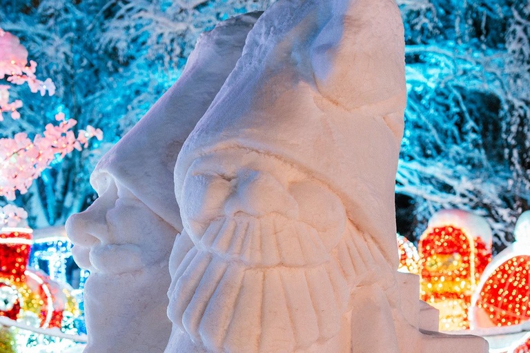 Arctic Fantasy Park Entry Ticket