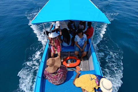 Diani: Wasini Island Dolphin Safari & Snorkeling