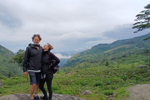 ELLA Lipton Seat Tea Test & Pluck 9Arch, Waterfalls, & Food Lipton's Seat, Little Adam Peak, 9 Arch, Ravana Waterfalls