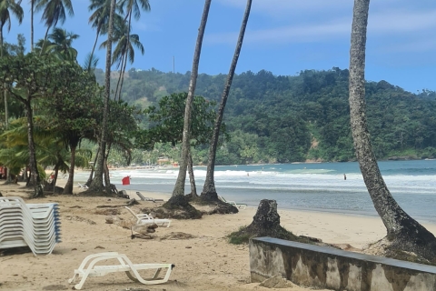 Trinidad : Visite de la cascade d'Avocat et de la plage de Maracas Bay