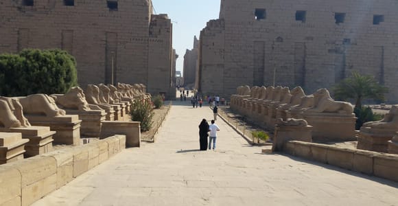 Halbtagestour zum Ostufer mit Besuch der Tempel von Luxor und Karnak