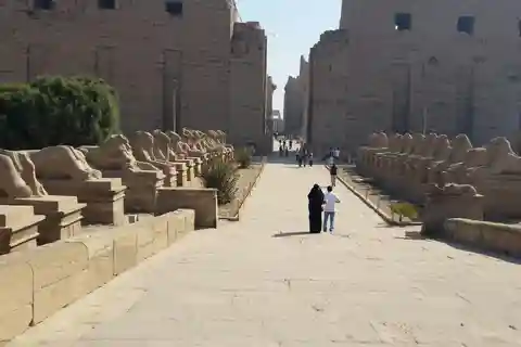 Half day tour to east bank visit Luxor and Karnak Temples