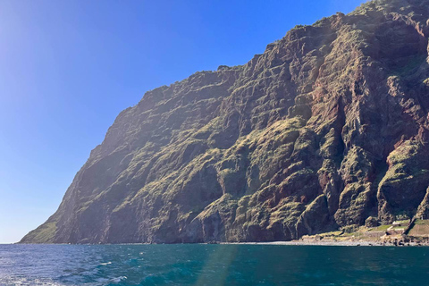 Calheta: Private Catamaran Tour - With Open Bar & Snacks Sunset Tour with Snorkeling & Paddleboarding/ Max 18 people