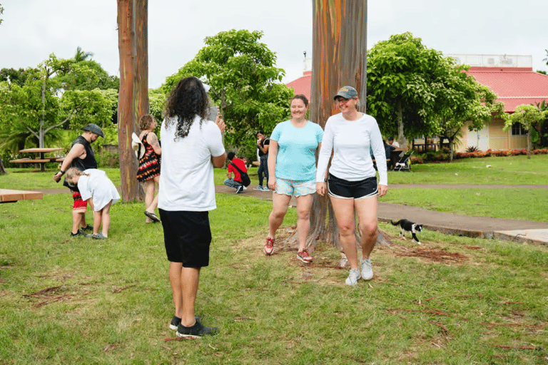 Oahu: Shared Circle Island Tour from Waikiki