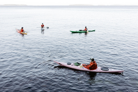 Helsinki: Attrazioni della città di Helsinki - Un tour in kayak!