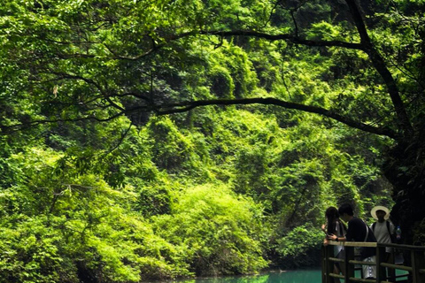Zhangjiajie Glass Bridge, Huanglong Cave Shared/Private Tour Private tour