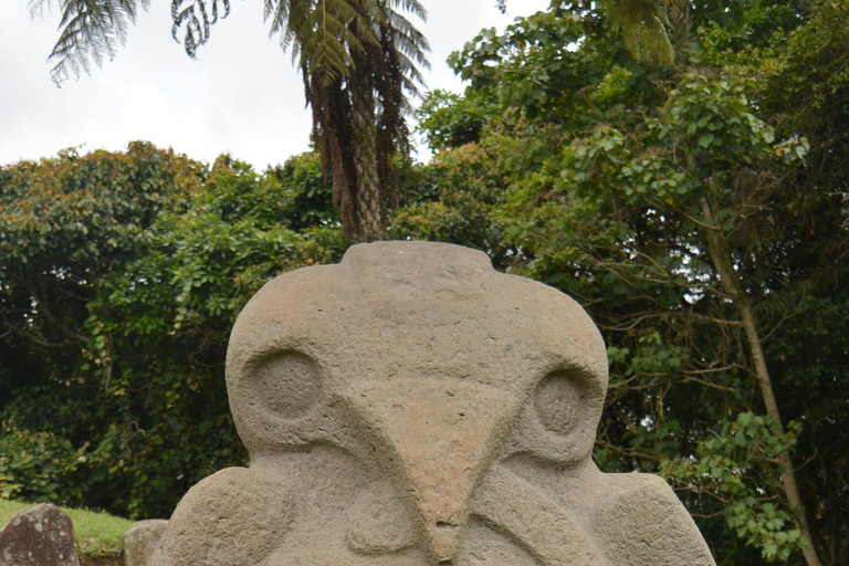 علم الآثار النقي: Tierradentro وSan Agustín (4D/3N)