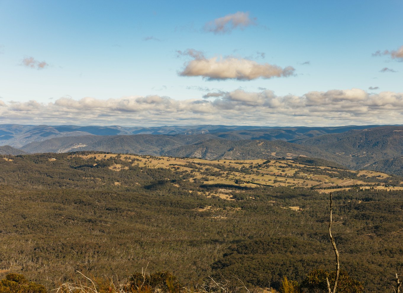 Katoomba: Lyrebird Hop-On Hop-Off og Scenic World Pass