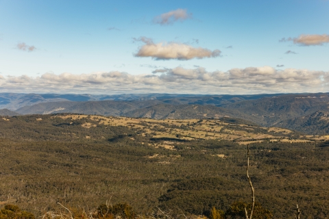 Katoomba: Blue Mountains Hop-On Hop-Off Bus & Scenic World
