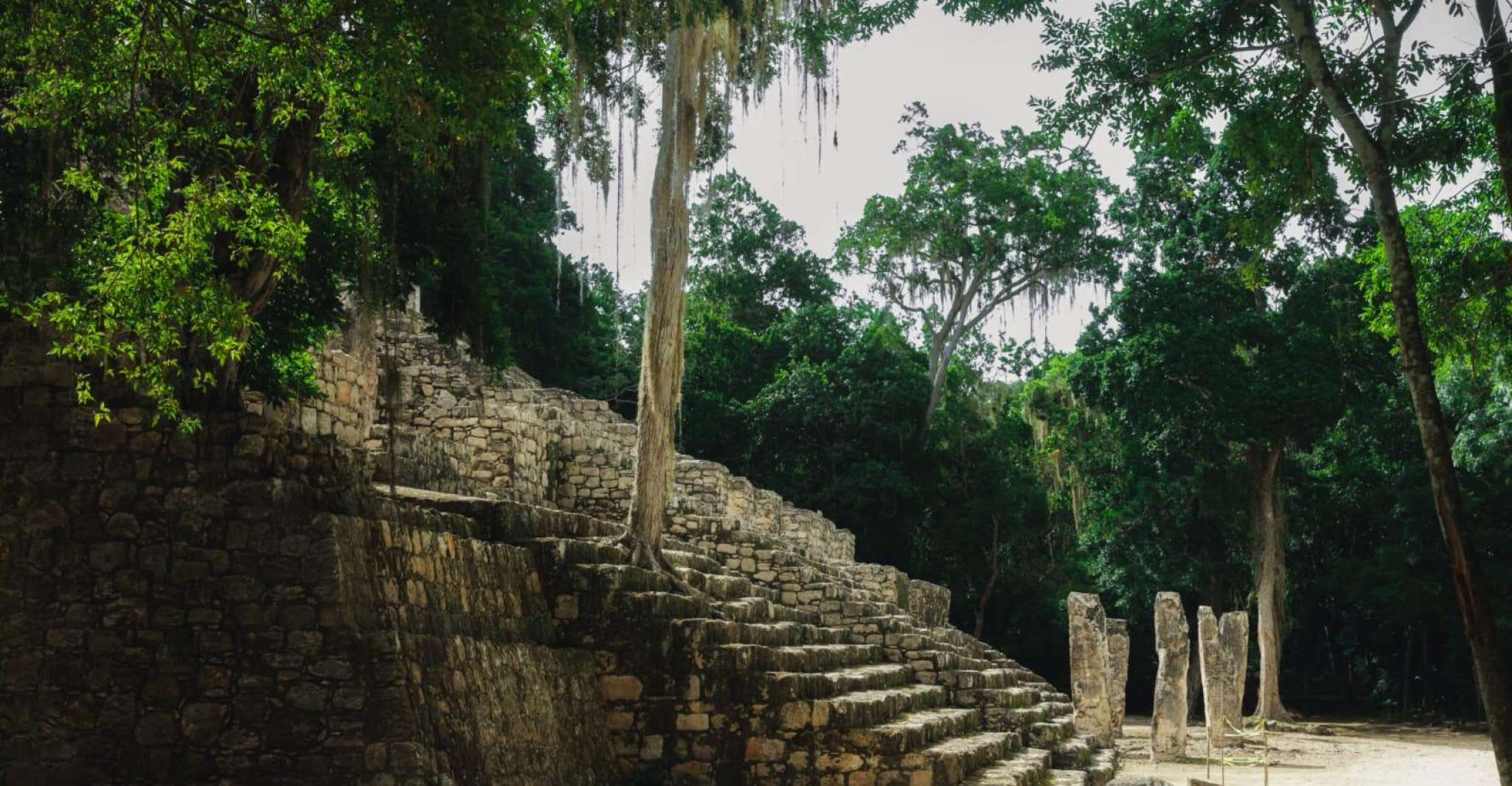 Discovering Calakmul - Housity