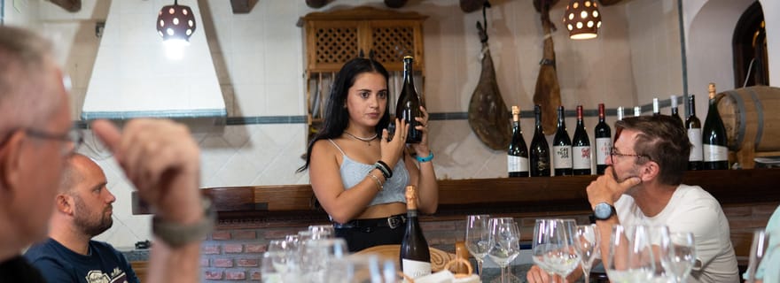 Secrets du vin : immersion dans la cave et dégustation professionnelle