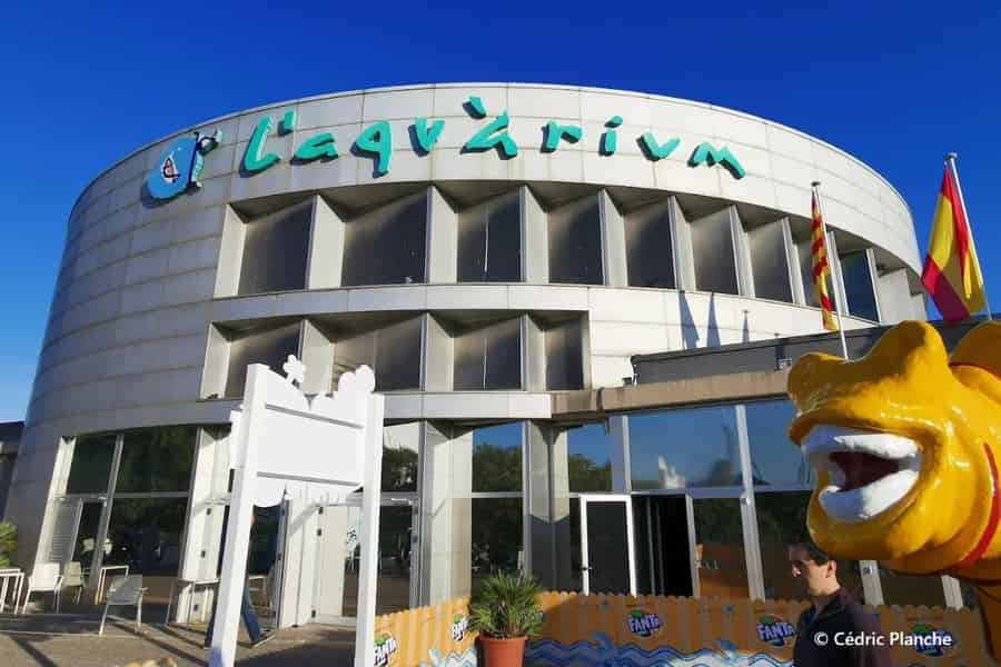 Ticket voor het aquarium & digitale stadstour