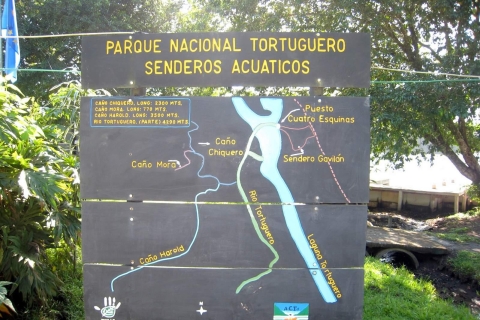 Parque Nacional de Tortuguero: Las mejores cosas que hacer en Tortuguero