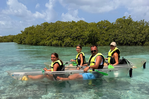 Providenciales Mangrove Kayak Tour With Turtle Sightings
