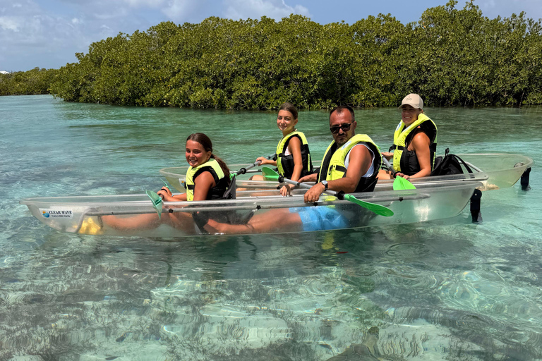 Providenciales Mangrove Kayak Tour With Turtle Sightings