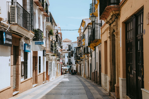 From Málaga and Costa del Sol: Day Trip to Ronda with Plaza de Toros Tour in Spanish WITHOUT admission