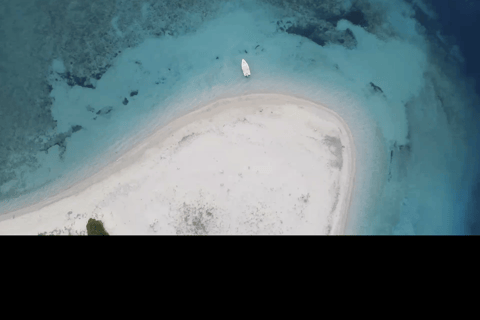 Zante: Tour en barco privado Cuevas de la Isla de las Tortugas Mizithres