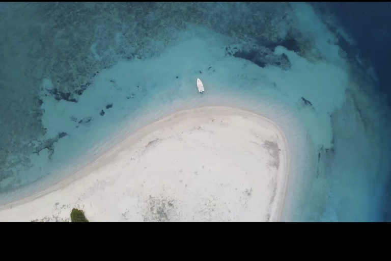 Zante: Tour en barco privado Cuevas de la Isla de las Tortugas Mizithres
