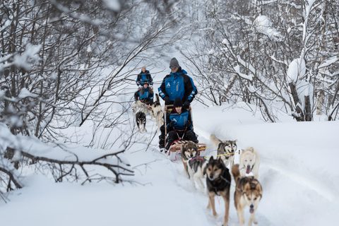Tromsø: Easy Dog Sledding Tour & Kennel Visit