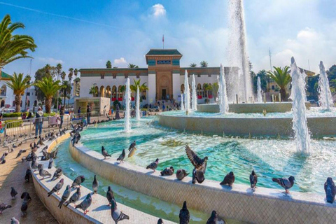 Casablanca: Layover Sightseeing Tour with Airport Transfer Layover including the Moroccan Hammam and traditional Dinner