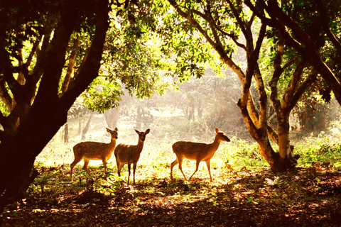 Hanoi: Van Long Wetland, Bear Sanctuary, Cuc Phuong Tour