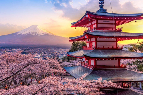Mt Fuji Private Luxury Full-Day Tour with customization