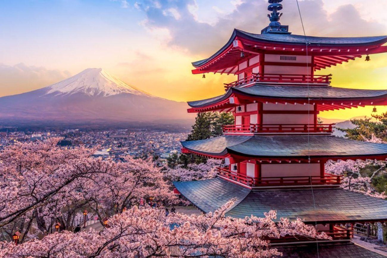Mt Fuji Private Luxury Full-Day Tour with customization