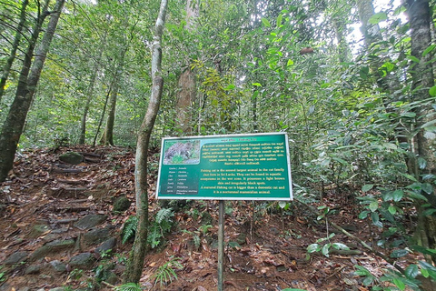 辛哈拉加雨林之旅