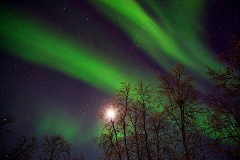 Tromsø: Trineo de Nieve con Pieles de Reno y Bebidas Calientes.