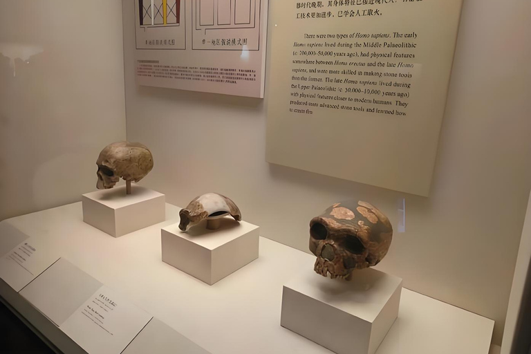 Beijing: National Museum of China Entry Ticket