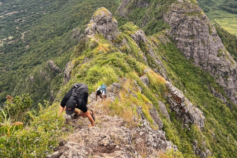 Mauritius: Wandelen en beklimmen van de berg Trois Mamelles