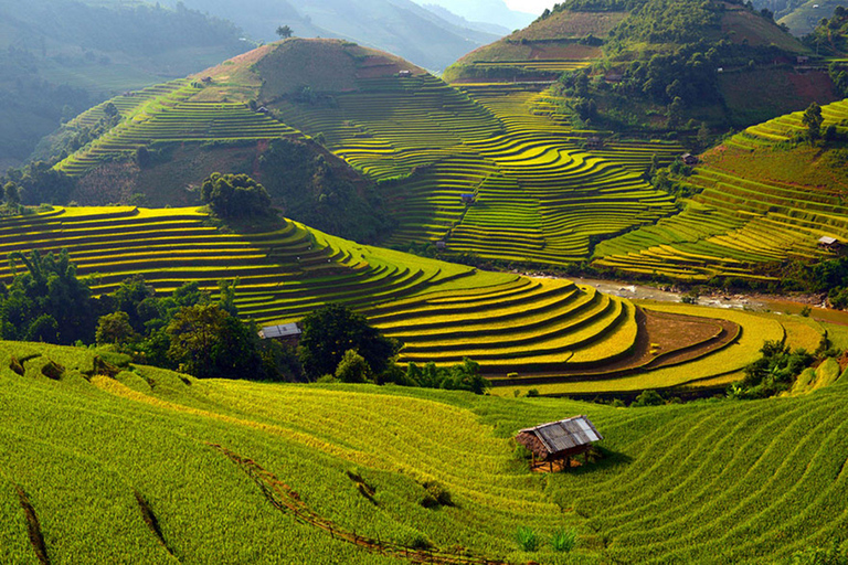 Mu Cang Chai 2 Days Tour Trekking Terraced Rice Field