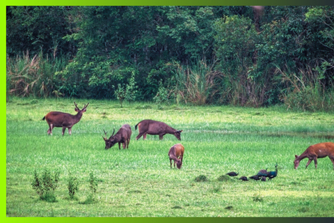 Cat Tien National Park: 3 Day Jungle Expedition Journey