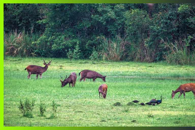 Cat Tien National Park: 3 Day Jungle Expedition Journey