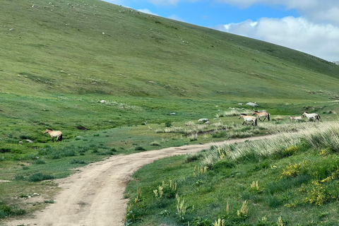 Nuit dans le Semi Gobi avec un nomade et dans le parc national de Khustai