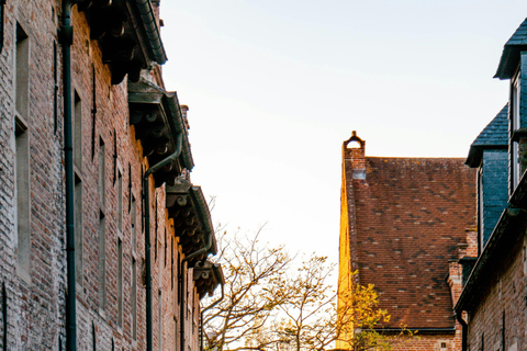 Leuven Bike Tours: Highlights & Beyond + café + bike rental The Leuven Highlights & Beyond (public tour)