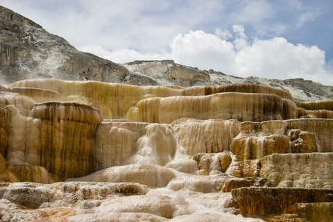 5 Days Tours | Yellowstone National Park, Grand Teton Quad occupancy