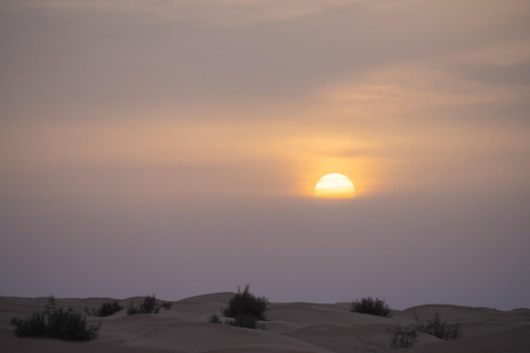 Dois dias e uma noite num acampamento, Ksar Ghilane a partir de Djerba