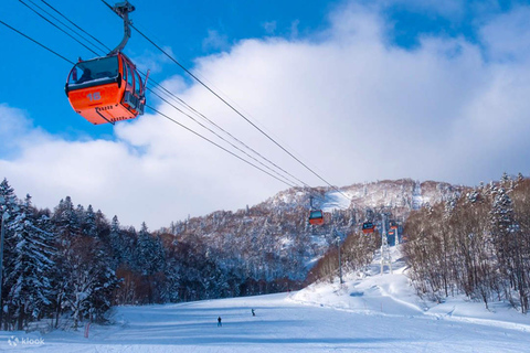 Sapporo: Wycieczka 1-dniowa do ośrodka narciarskiego Otaru Asarigawa wraz ze sprzętemNarciarstwo